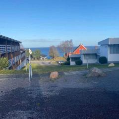 5 star holiday home in Allinge