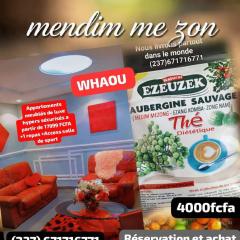 Appartement meublé de luxe a petit prix OUZANG & EZEUZEK