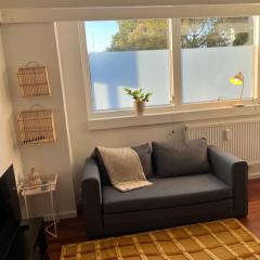 Convenient apartment - close to everything