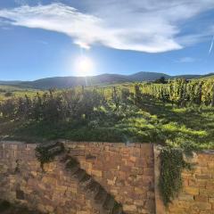 Gîte Au Pied Des Vignes