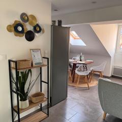 Appartement cosy au centre ville de Colmar