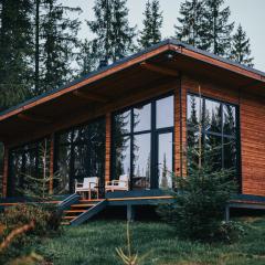 Inima Pustei Cabin