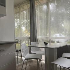 Cozy Apartment Hunedoara