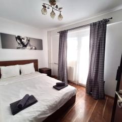 Urban Nest Victoriei close to Antipa Museum