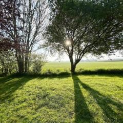 5 star holiday home in Borre