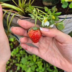 Neomi Homestay Malang