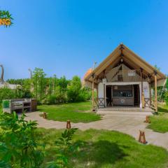 T-Rex Glamping