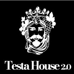 Testa House 2 0