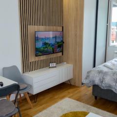 Apartman studio KOPS
