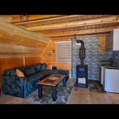 Evergreen cabin 1 Golija