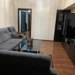 Двухкомнатная квартира в центре города