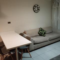 Apartamento viña del mar
