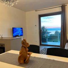 Panoramic Apartment