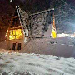 Cabana Aframe Blidari