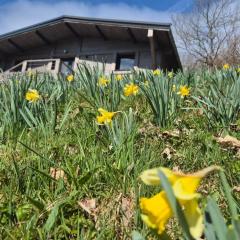 Chalet rénové avec sauna, proche Gérardmer - FR-1-589-796