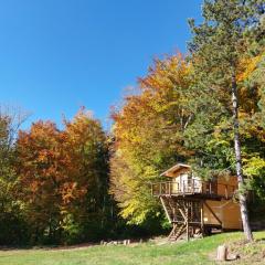 Treetop Tiny House Pod Korunami