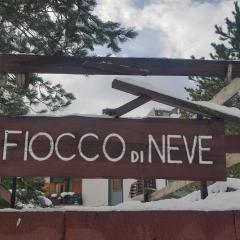 Fiocco di Neve