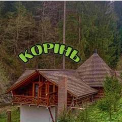 Корінь