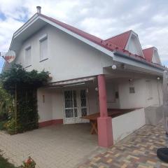 Magyar Tenger Pihenőház, house for 8 with garden at Balaton