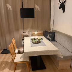 Charming apartment Berggeweih Lodge at Zwölferkogel in Hinterglemm