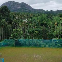 Mountain Vibes Wayanad Pool Villas