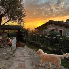 Casetta nel Podere di Massi