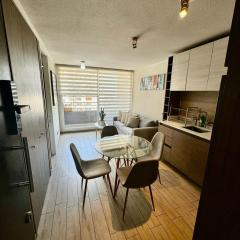 Lindo y cómodo apartamento en Santiago centro