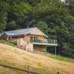 Red Kite Lodge - Uk32610