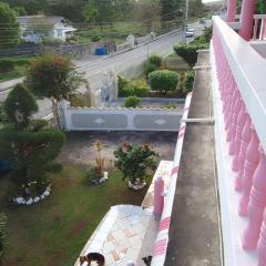 Pink flamingo