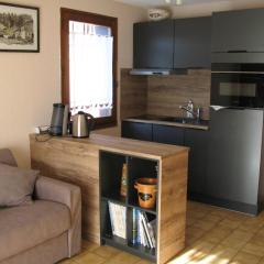 Appartement à Samoëns avec Wifi, idéal pour 3 pers. - FR-1-846-23