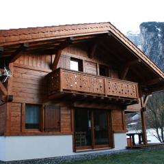Chalet familial à Samoëns avec lits bébé - FR-1-846-36