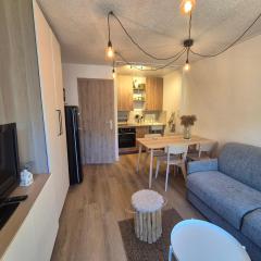 Studio rénové à Tignes, 4 pers, balcon, wifi - FR-1-502-610
