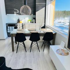 Tunturinlaita C 7 Visit Levi