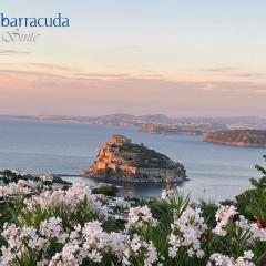 barracudasuite