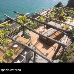 Refuge organic Vineyard 5terre unesco