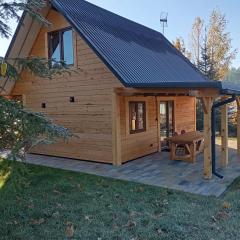 Apartament Szumi las