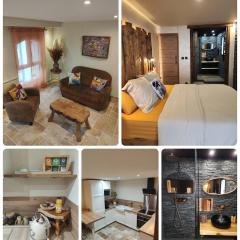 Appartement design et chaleureux entre centre ville