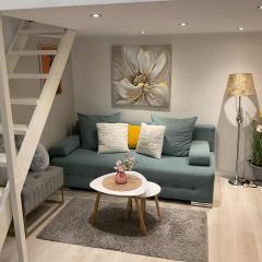 Green apartment, in the middle of the city center, quiet, AC