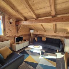 Duplex spacieux avec terrasse sud et animaux admis - FR-1-836-1