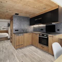 Appartement central 1 chambre, 4 pers, WIFI, garage - FR-1-836-12