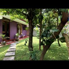 The Little House