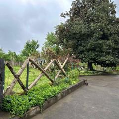 Niko Mamasakhlisi Guest House