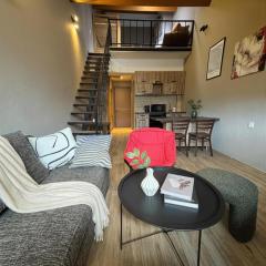 Two various entire apartments in New Gudauri -Redco, Near Main Gondola