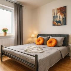 Köln Frechen 44