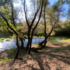 Vila Blue River