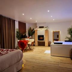 Suite de charme jacuzzi et jardin privé 20 min de Paris et Stade de France