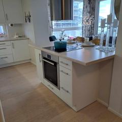 Downtown apartment all to yourself