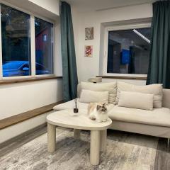 Markuciai Studio