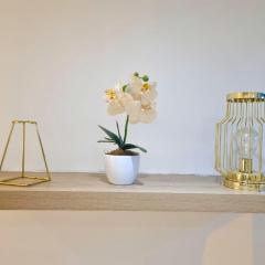 Studio avec terrasse