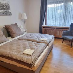 Casaba Suite -260 qm-2 floors- 7 Rooms-Free Private Parking-House with garden